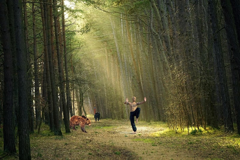 Chinese Martial Arts Image